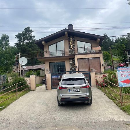Villa Astoria Bakuriani Exterior foto