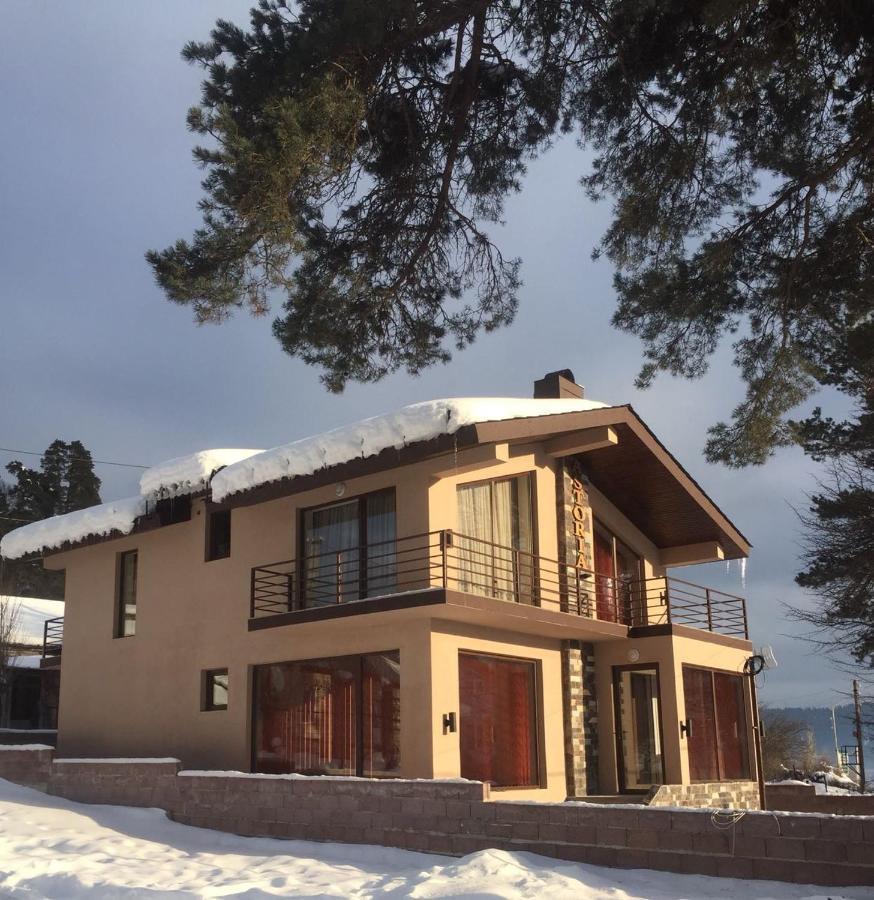 Villa Astoria Bakuriani Exterior foto